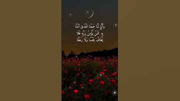 #سورة الجن بصوت أحمد الخضر ♥️#القرآن الكريم #سورة الجن