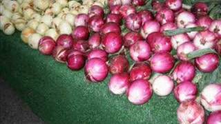 The Onion Song