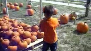 Pumpkin Patch October 2011
