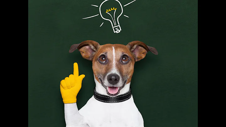 How Smart is your Dog?