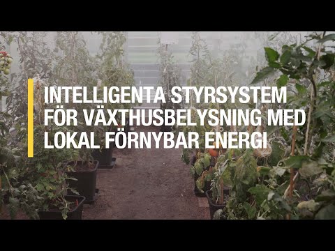 Intelligenta styrsystem för växthusbelysning med lokal förnybar energi