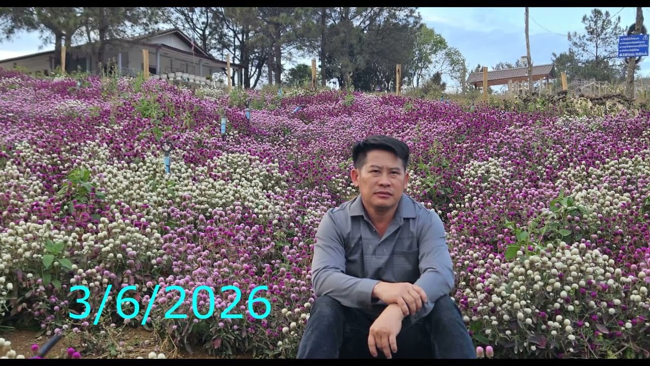 koj pua nco twb tej lu cog tseg lawm/3/6/2026