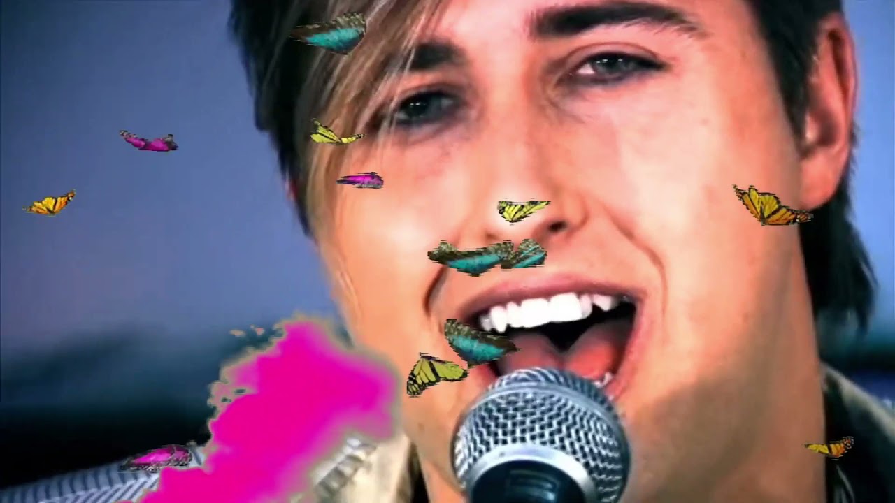 IM GAY   Homo Alert! Gayness at its Maximum Gayness   FRESH FUDGE RECORDS   Cornhole Productions   Y