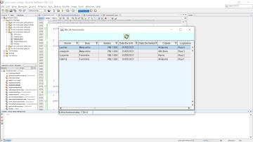 CURSO DE JAVA COM OPENSWING - #11 IMPLEMENTANDO O LOADDATA