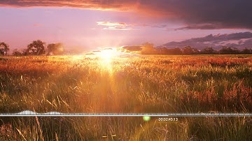 After Effects Audio React Tutorial Preview v2