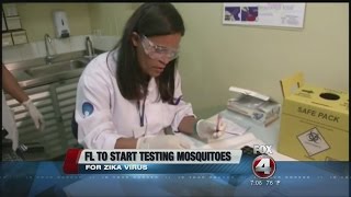 Florida now ready to test mosquitoes for zika virus