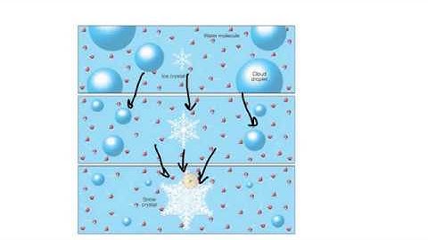 Bergeron process(Ice Crystal Theory)-Explained