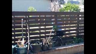 Pallet Fence (Very Simple) Backyard Fence using wood pallets. Very easy to build yourself.