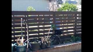 Backyard Fence using wood pallets. Very easy to build yourself.