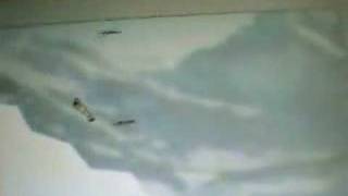 Ski Stunt Funny