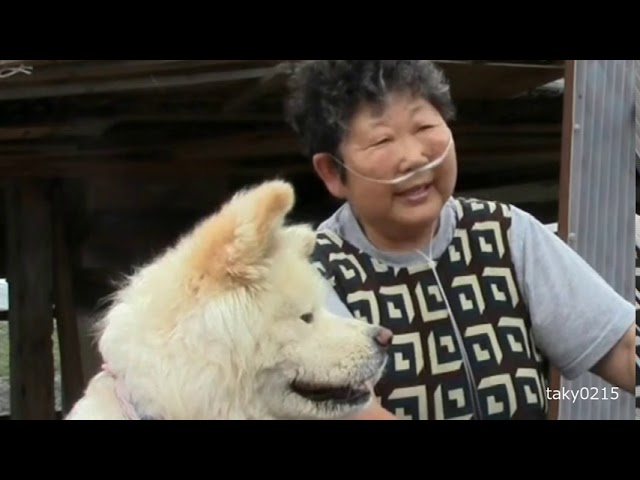 わさお ひとすじ Talk About The Life Of Wasao Only Youtube わさお ひとすじ Talk About The Life Of Wasao Only Youtube