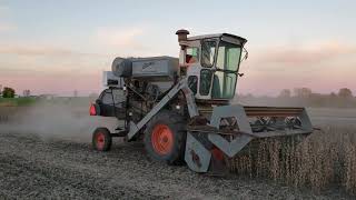 Gleaner A2 Cutting beans