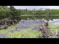 PESCARIA DE ANZOL COM VÓ DELOUSA E TIA TOINHA VIDEO I