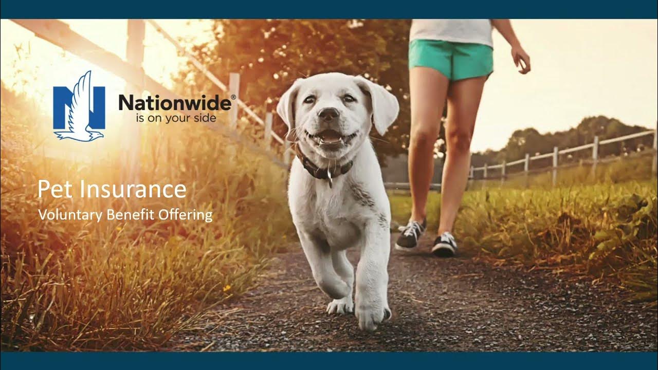 Nationwide Pet Insurance Webinar YouTube