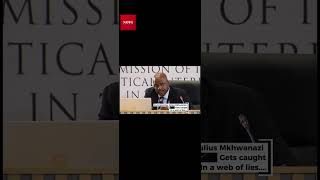 Madlanga Commission On Mkhwanazi Evidence