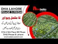 Ibnehashim associates offers the best investment opportunity in dha phase 9 prism lahore