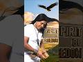 Spirit of Freedom 🪶 | Leo Rojas • El Condor Pasa (Summer Version) #leorojas #elcondorpasa #shorts