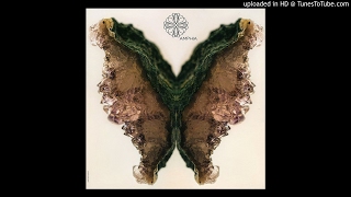 Verico - Ambifoco Amp005