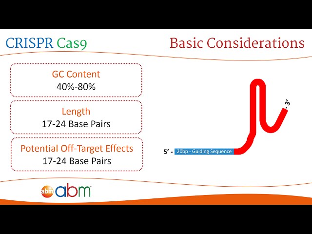 3) CRISPR Cas9 - gRNA Design