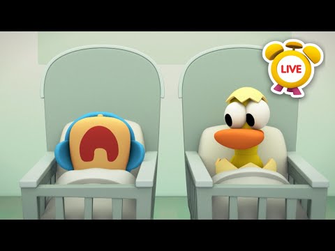Pocoyo Baby CARTOONS And FUNNY VIDEOS For KIDS In ENGLISH Pocoyo LIVE