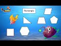 Polygon Classification Quiz