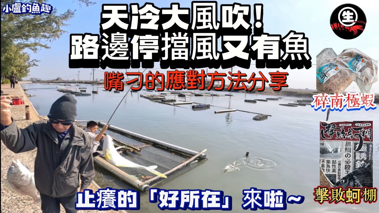 風大天冷找不到釣點！這裡擋風停車就可以釣魚止癢的好地方～