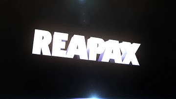 Intro - ReaPax