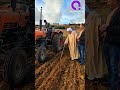 مزالت البراكة مزال ناس بكري وشحال يحبو الارض الجزائر تيك توك ترند لايك اشتراك