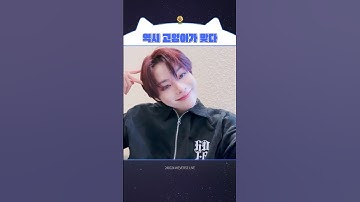 [템페스트/한빈] 제가 모에화하는게 아니라 한빈이가 너무 고양이임🐱