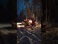 ТТ-4 в ночном лесу