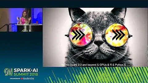 Accelerating Tensorflow with Apache Arrow on Spark (Holden Karau)