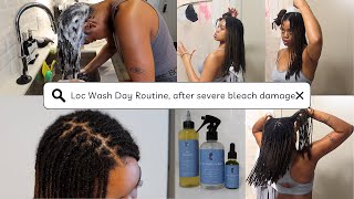My Official Loc Wash Day Routine | coming back from severe bleach damage