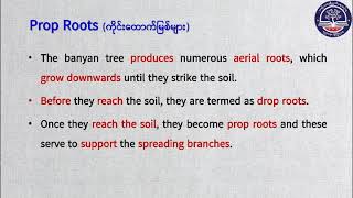 Grade 11 Bio, Chapter 1 Part 7