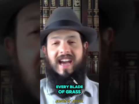 Jewish Rapper Raps the 10 Plaques Live 🔥