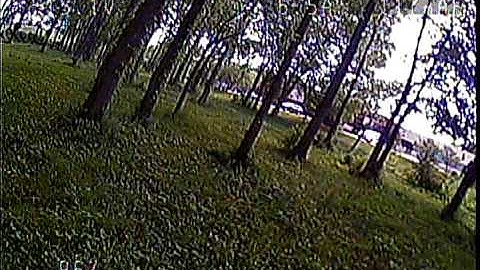 QAV250 Dodging Trees UnCut