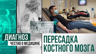 Лечение рака крови с помощью пересадки костного мозга | Диагноз