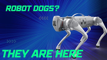 Robot Dog for Law Enforcement? - GO1 Robot Quadreped by Unitree