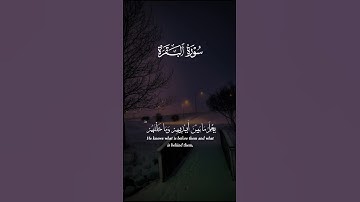 اكتب شيء تؤجر عليه ❤🌿 || القارئ اسلام صبحي 😴🎧