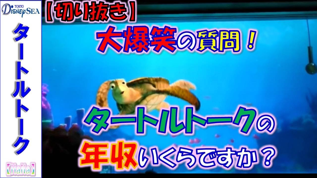 【切り抜き】 タートルトーク 「大爆笑の質問!!タートルトークの年収いくらですか？」【HaNa】