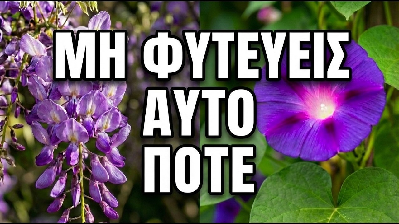 10 Φυτά Που ΔΕΝ Πρέπει Να Έχεις Στον Κήπο Σου — Τα Φυτώρια Δεν Σε Προειδοποιούν