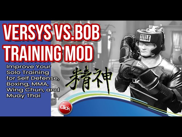 ボクシング CENTURY Versys VS.BOB Versys VS.BOB | Training Bags From Century Martial Arts