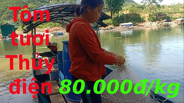 Trải nghiệm cùng người dân đi bắt tôm tép bằng lưới bát quái, đó tre trên hồ thủy điện ITC Chiêm Hóa