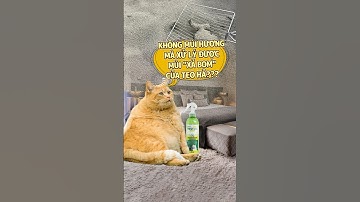 Đừng hiểu lầm giữa khử mùi và che mùi nha các SEN ơi!!! #pets #petgreen #cat #khumuichomeo #dog #mèo