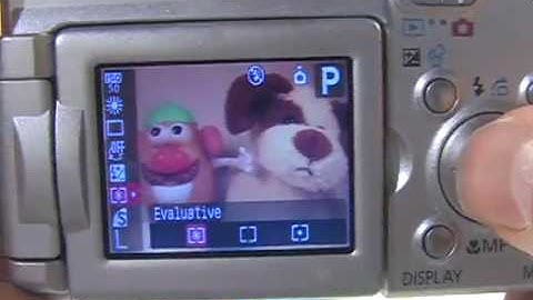 Canon A610/A620: Copy