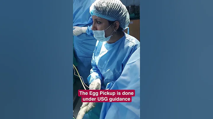 Egg pick-up or ovum pick-up is done to collect the female’s eggs for IVF treatment. - DayDayNews