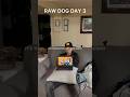 RAW DOG DAY 3!!! #rawdog #thanksgiving
