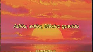 Leo Dan - Toquen Mariachis Canten [Letra Al Español] - YouTube