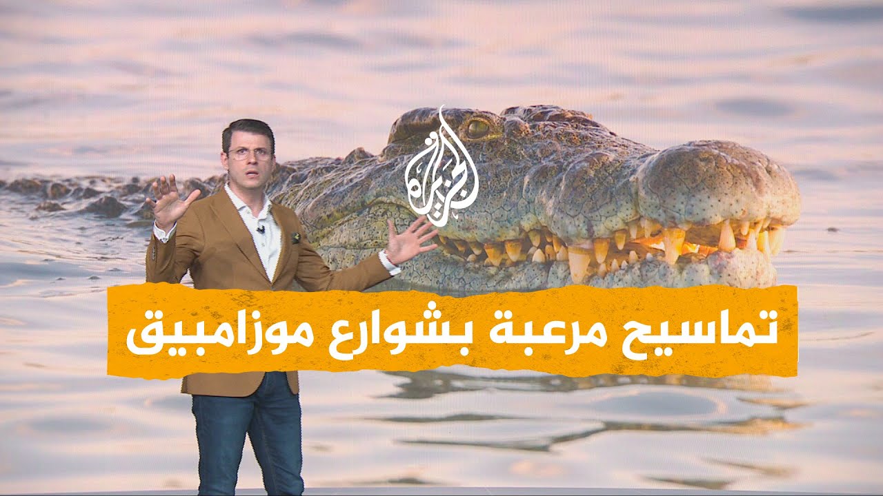 ����� | ������ ����� �� ����� ��������  ����� 3 �����
 - نشر قبل 7 دقيقة