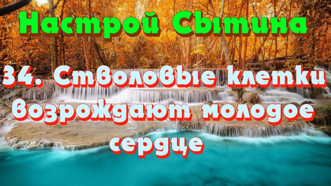 Настрой на оздоровление сердца. Сытин настрои на оздоровление кожи. Оздоравливающие настрои Сытина. Настрой на здоровье и долголетие. Настрой Сытина на оздоровление головы.