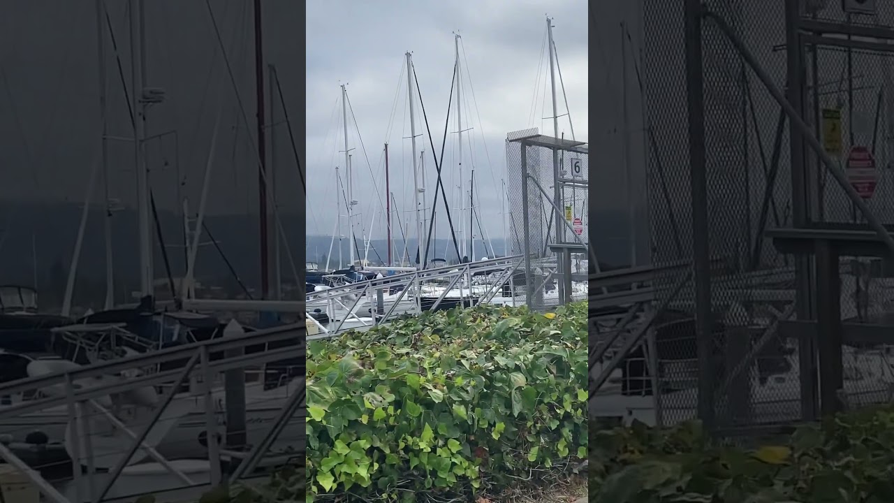 My view from the Oakland yacht club